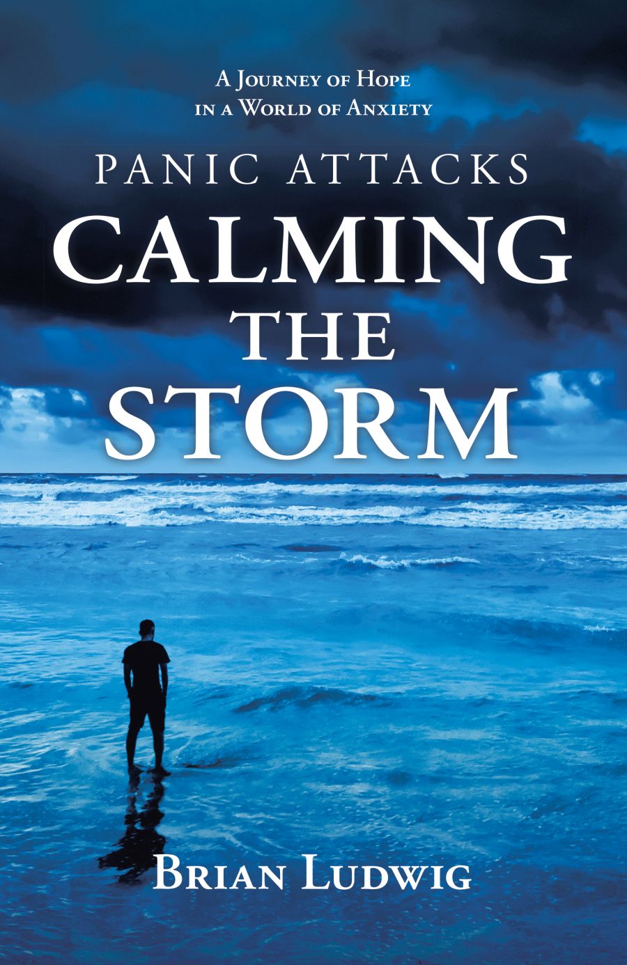 Panic Attacks: Calming the Storm - book author Brian Ludwig